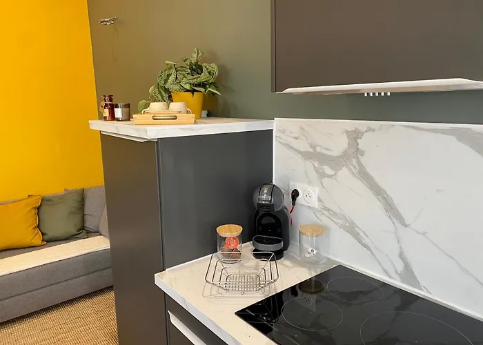 Independant Avec Exterieur Appartement Cadaujac